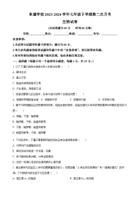 河北省保定市博野县东墟学校2023-2024学年七年级下学期第二次月考生物试题（原卷版+解析版）