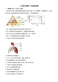 山东省滨州邹平市梁邹实验初级中学2023-2024学年八年级下学期第一次月考生物试题（原卷版+解析版）