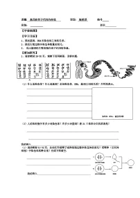 人教版 (新课标)八年级下册第二节 基因在亲子代间的传递导学案