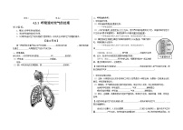 人教版 (新课标)七年级下册第四单元 生物圈中的人第三章 人体的呼吸第一节 呼吸道对空气的处理学案