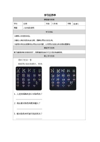 初中生物人教版 (新课标)八年级下册第四节 人的性别遗传学案