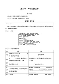 初中生物苏教版八年级上册第三节 神奇的微生物导学案