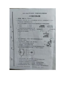 山东省枣庄市台儿庄区2023-2024学年八年级下学期期中考试生物试题