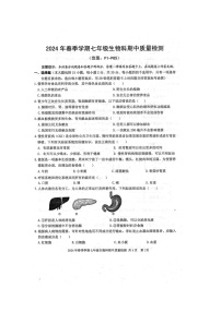 2024年春广西防城港市防城区七年级生物科下册期中质量检测题（扫描版含答案）