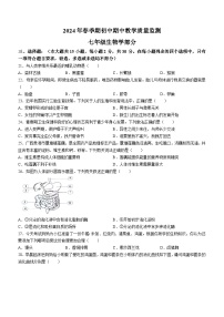 广西玉林市博白县2023-2024学年七年级下学期期中教学质量监测生物试卷