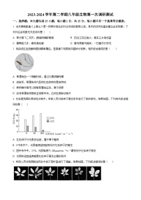 2024年江苏省启东市八年级中考一模生物试题（原卷版+解析版）