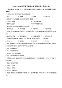 河南省驻马店市泌阳县2023-2024学年七年级下学期期中生物试题（原卷版+解析版）