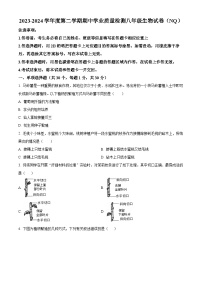 河北省邢台市五校联考2023-2024学年八年级下学期期中生物试题（原卷版+解析版）