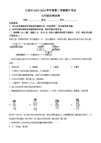 湖北省黄石市大冶市2023-2024学年七年级下学期期中生物试题（原卷版+解析版）