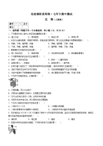 吉林省松原市前郭县北部学区名校调研系列卷2023—2024学年七年级下学期期中生物试题测试+++++生物（含答案）