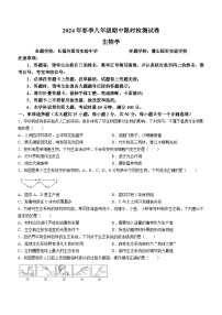 湖南省长沙市长郡教育集团联考2023-2024学年八年级下学期4月期中生物试题