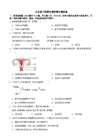 2024年广西七年级下学期生物学期中试卷附答案