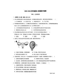 广东省桂圆中学等学校2023--2024学年七年级下学期期中考试生物试题
