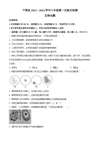 2024年山东省德州市平原县中考一模生物试题（原卷版+解析版）