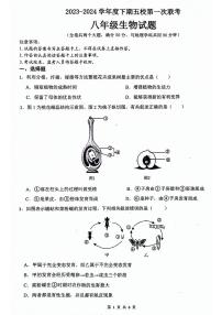 重庆市江津实验中学、白沙中学、李市中学、聚奎中学、珞璜江津中学2023-2024学年八年级下学期期中考试生物试卷