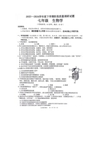 广西百色市2023-2024学年七年级下学期4月期中生物试题