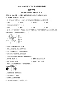 辽宁省本溪市2023-2024学年七年级下学期期中生物试题（原卷版+解析版）