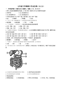 甘肃省庄浪县2023--2024学年七年级下学期期中考试生物试题