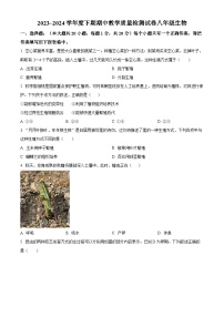 河南省漯河市郾城区2023-2024学年八年级下学期期中生物试题（原卷版+解析版）