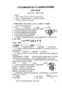 湖南省株洲市天元区白鹤学校2023-2024学年七年级下学期期中生物试题卷