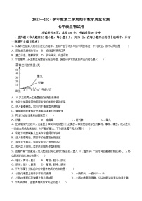 河北省邯郸市邯郸经济技术开发区中学2023-2024学年七年级下学期期中考试生物试卷