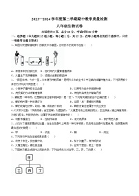 河北省邯郸市经济技术开发区中学2023-2024学年八年级下学期期中考试生物试卷