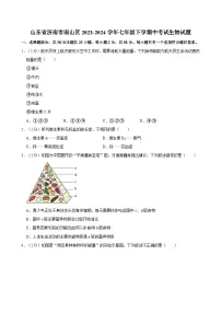 山东省济南市南山区2023-2024学年七年级下学期中考试生物试题