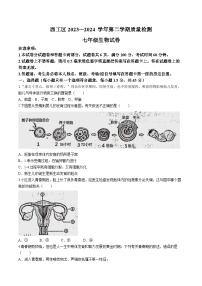 河南省洛阳市西工区2023-2024学年七年级下学期期中考试生物试卷