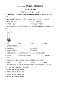 安徽省黄山地区2023-2024学年八年级下学期期中生物试题（原卷版+解析版）