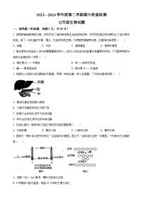 山东省济南市历城区2023-2024学年七年级下学期期中生物试题（原卷版+解析版）