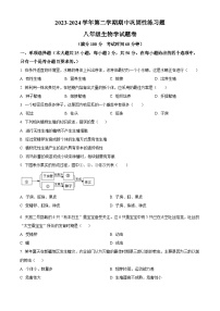 安徽省合肥市智育联盟2023-2024学年八年级下学期4月期中生物试题（原卷版+解析版）