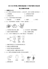 2024年甘肃省武威十六中教研联片九年级三模生物试题