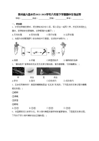 贵州省六盘水市2022-2023学年八年级下学期期中生物试卷(含答案)