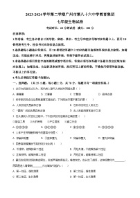 广东省广州市86中集团校联考2023-2024学年七年级下学期期中生物试题（原卷版+解析版）