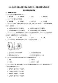 2024年甘肃省武威十七中教研联片九年级三模生物试题