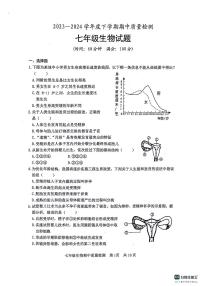 山东省日照市东港区日照港中学2023-2024学年七年级下学期期中考试生物试卷