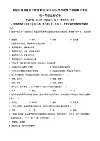 江苏省盐城市康居路初中教育集团2023-2024学年七年级下学期期中生物试题（原卷版+解析版）