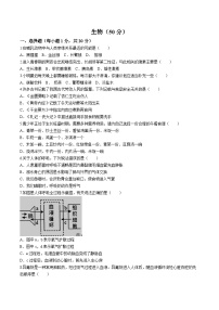 甘肃省陇南市武都区城关学校2023--2024学年七年级下学期期中生物试题