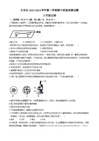 山西省晋中市太谷区2023-2024学年八年级下学期期中考试生物试题