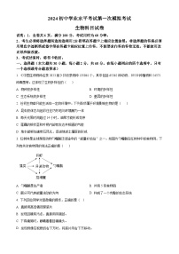 2024年广东省揭阳市榕城区九年级中考一模生物试题（原卷版+解析版）