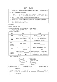 人教版 (新课标)第七节   哺乳动物学案