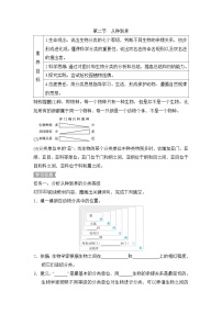 初中人教版 (新课标)第二节 从种到界导学案及答案