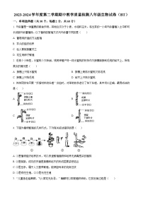 河北省沧州市泊头市2023-2024学年八年级下学期期中生物试题（原卷版+解析版）