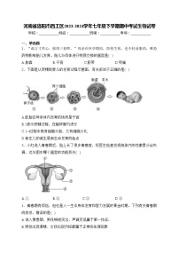 河南省洛阳市西工区2023-2024学年七年级下学期期中考试生物试卷(含答案)