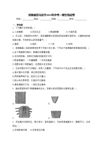 河南省驻马店市2024年中考一模生物试卷(含答案)