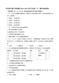 河北省石家庄市栾城区2023-2024学年七年级下学期期中生物试卷