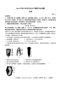 2024年山东省临沂市兰山区八年级中考一模生物试题