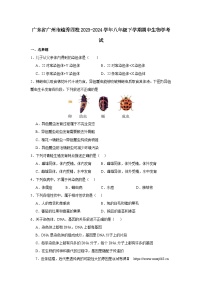 广东省广州市越秀区越秀四校2023-2024学年八年级下学期4月期中生物试题