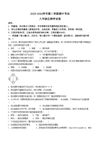 广东省深圳市福田区红岭实验学校(上沙)2023-2024学年八年级下学期4月期中生物试题(无答案)