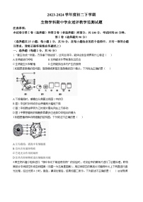 山东省滨州市惠民县2023-2024学年八年级下学期期中质量检测生物试题(无答案)